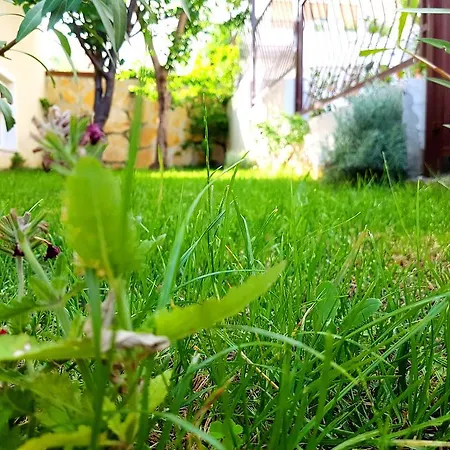 Apartment Kegalj Podstrana