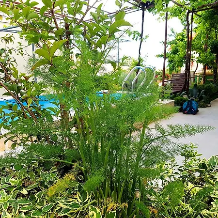 Apartment Kegalj Podstrana