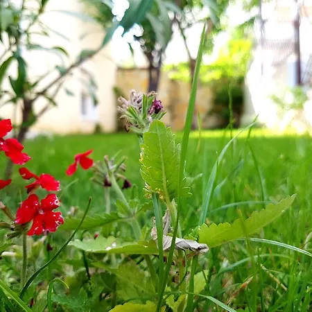 Apartman Kegalj *
